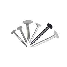 1kg Clout Nails